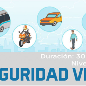 Seguridad Vial